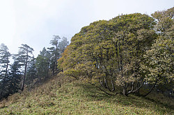 ���� � �������� ����, ������� �����, ���������� ����������, ������