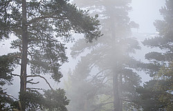 ���� � �������� ����, ������� �����, ���������� ����������, ������