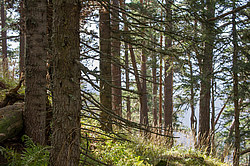 ���� � �������� ����, ������� �����, ���������� ����������, ������