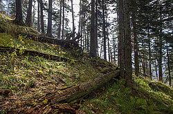 ���� � �������� ����, ������� �����, ���������� ����������, ������