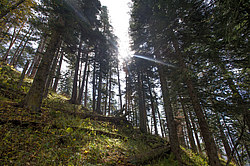 ���� � �������� ����, ������� �����, ���������� ����������, ������