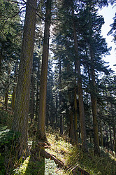 ���� � �������� ����, ������� �����, ���������� ����������, ������