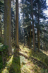 ���� � �������� ����, ������� �����, ���������� ����������, ������