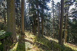 ���� � �������� ����, ������� �����, ���������� ����������, ������