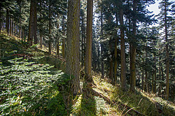 ���� � �������� ����, ������� �����, ���������� ����������, ������