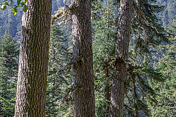 ���� � �������� ����, ������� �����, ���������� ����������, ������