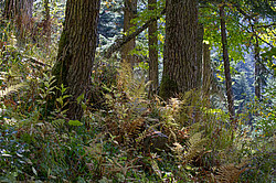 ���� � �������� ����, ������� �����, ���������� ����������, ������