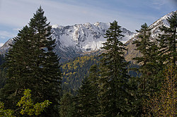 � ������ ���� �����, ���������� ����������, ������