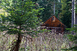 � ������ ���� �����, ���������� ����������, ������