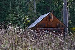 � ������ ���� �����, ���������� ����������, ������