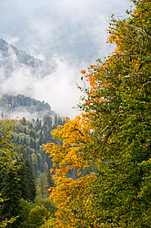 ������� ��� - ���� � �����, ������� ������, ���������� ����������, ������