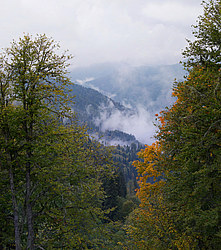 ������� ��� - ���� � �����, ������� ������, ���������� ����������, ������