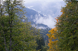 ������� ��� - ���� � �����, ������� ������, ���������� ����������, ������