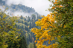 ������� ��� - ���� � �����, ������� ������, ���������� ����������, ������