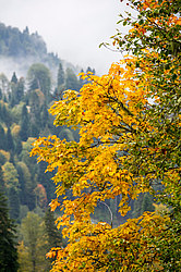 ������� ��� - ���� � �����, ������� ������, ���������� ����������, ������