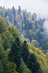 ������� ��� - ���� � �����, ������� ������, ���������� ����������, ������