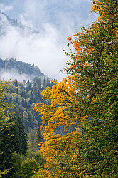 ������� ��� - ���� � �����, ������� ������, ���������� ����������, ������