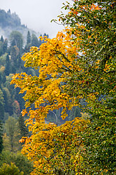 ������� ��� - ���� � �����, ������� ������, ���������� ����������, ������