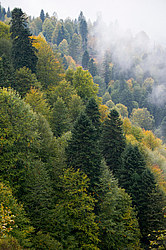 ������� ��� - ���� � �����, ������� ������, ���������� ����������, ������