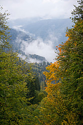 ������� ��� - ���� � �����, ������� ������, ���������� ����������, ������