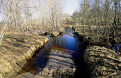 �������� ������, �������������, �������� �������