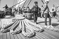 ������������ �������� ����� 