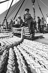 ������������ �������� ����� 