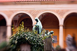 �����, ����� 2012 ���