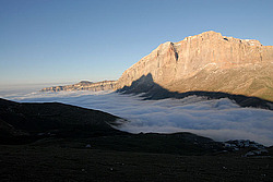 ���� ����� �� ���� ���� ������, ��������