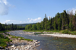 ���� �������, ����������� ����, �����-���������� �� - ����