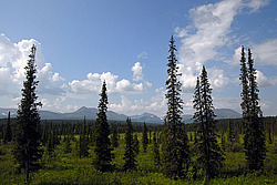 ����������� ���� ͸�����, ����������� ����, �����-���������� �� - ����