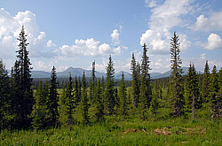 ����������� ���� ͸�����, ����������� ����, �����-���������� �� - ����