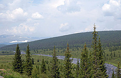 ���� �������, ����������� ����, �����-���������� �� - ����