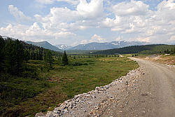 ������ ���������� - ͸�����, ����������� ����, �����-���������� �� - ����