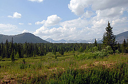 ���� ͸�����, ����������� ����, �����-���������� �� - ����