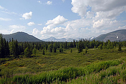 ���� ͸�����, ����������� ����, �����-���������� �� - ����