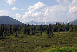 ���� ͸�����, ����������� ����, �����-���������� �� - ����