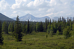 ���� ͸�����, ����������� ����, �����-���������� �� - ����