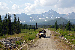 ������ ���������� - ͸�����, ����������� ����, �����-���������� �� - ����