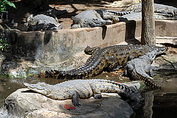 ��������, ���������� �����, ����� �������, �����, ��������� ������