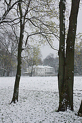 ����� ������. ���-����� ���� ��������. ��� ��������