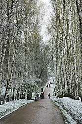 ����� ������. ������� �. �. ��������. ����. �������� �����