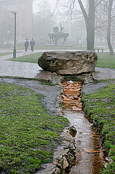 ����� ������������. ������� ����. ����� ���� ���