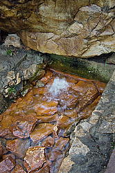 ����� ������������. ������� ����. ����� ���� ���