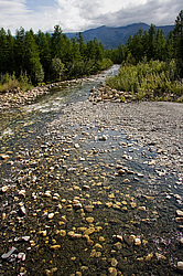 ������. ����������� ������ ������ - �������, ������� ����-���� - �������, ���� ��-����