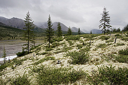 ������. ����������� ������ ������ - �������, ������� ����-���� - �������