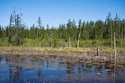 ������. ����������� ������ ������ - �������, ������� ������� - ������ ������