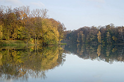 ������, ���������