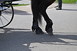 ��������, ������� ���� ������.