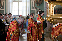 ������������ �������� ����� 